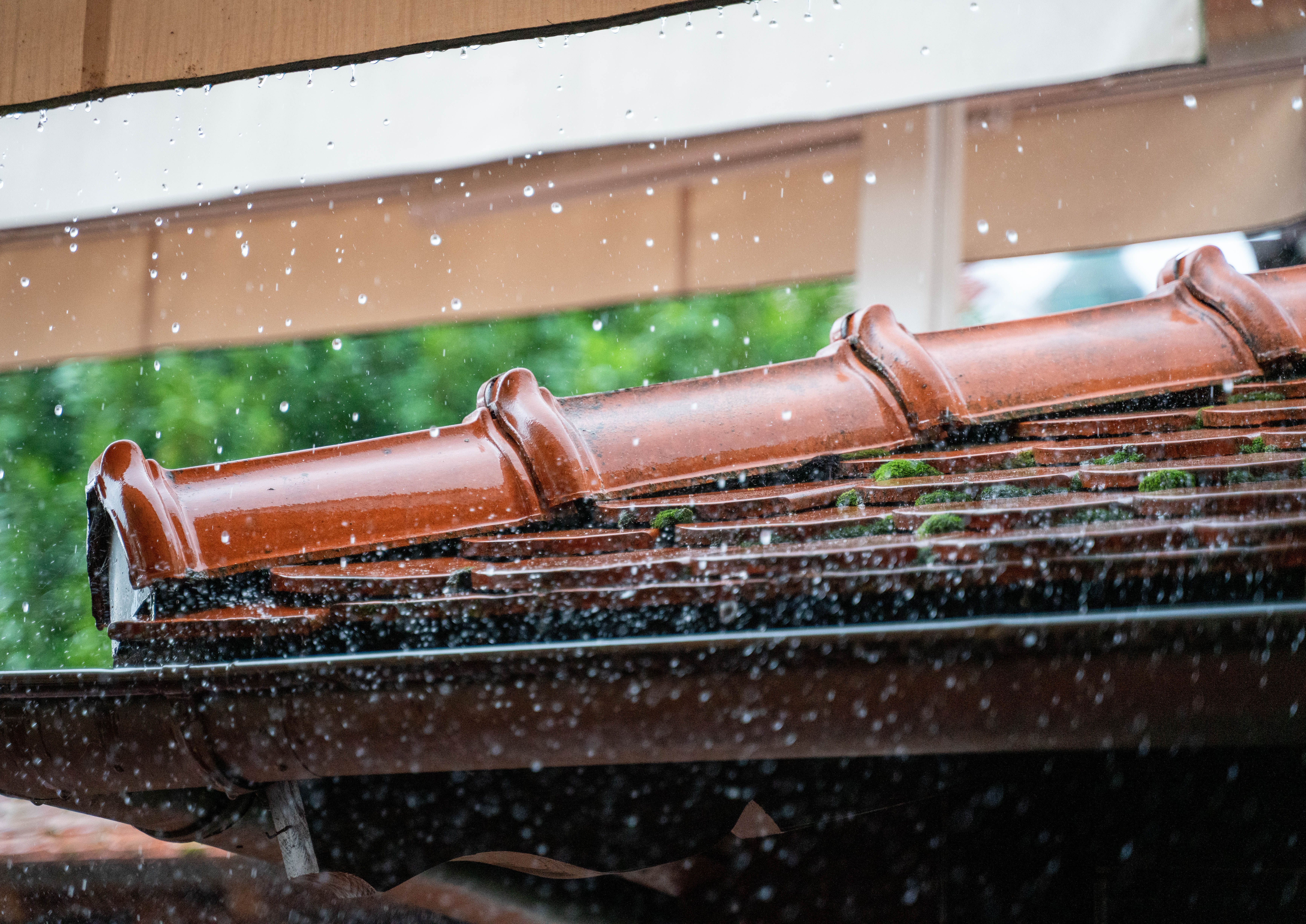 Roof problems